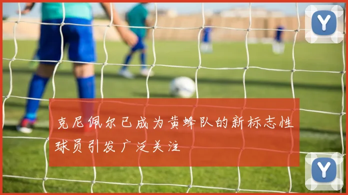 克尼佩尔已成为黄蜂队的新标志性球员引发广泛关注